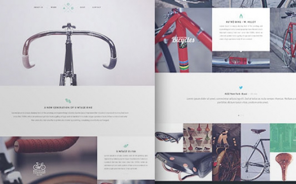 New Design Trends